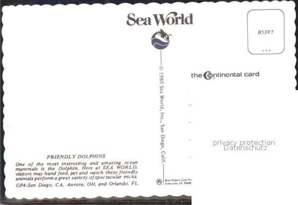 Delfine Delphine Dolphins Dauphins Delfi Sea World – Bild 2