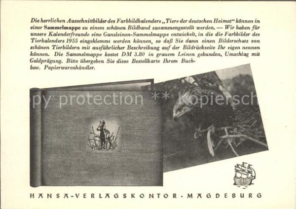 Falkner Falke Falcon Faucon Halcon Kalender Tiere der deutschen Heimat Sam