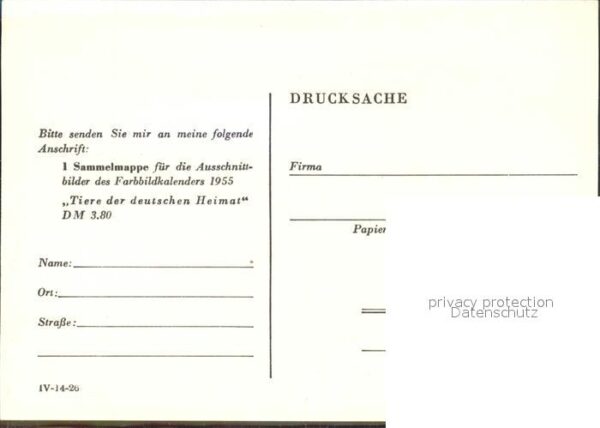 Falkner Falke Falcon Faucon Halcon Kalender Tiere der deutschen Heimat Sam – Bild 2