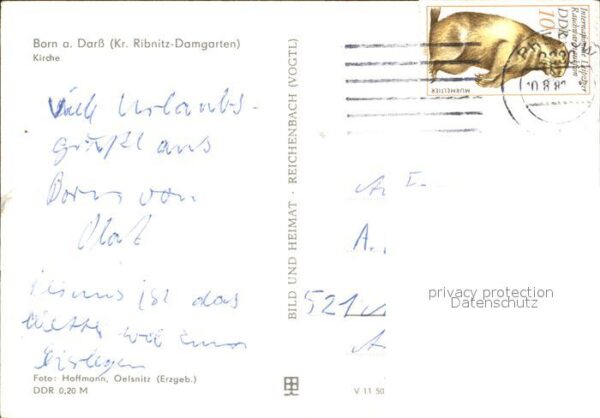Born Darss Kirche – Bild 2
