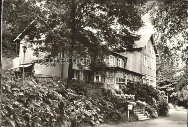 Kriebstein Talsperre Waldhaus Lauenhain
