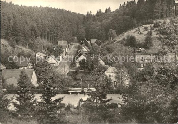 Tanne Harz