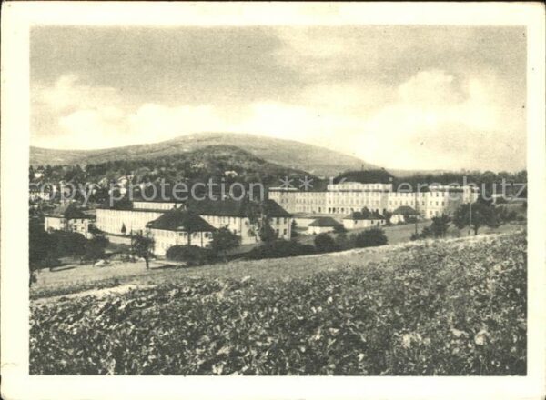 Koenigstein Taunus Baustein 50 Dpf. Priesternachwuchs Vate