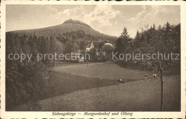Siebengebirge Margaretenhof und Ölberg