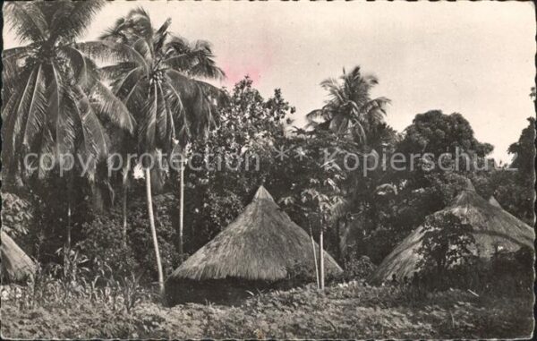 Conakry Cases indigenes