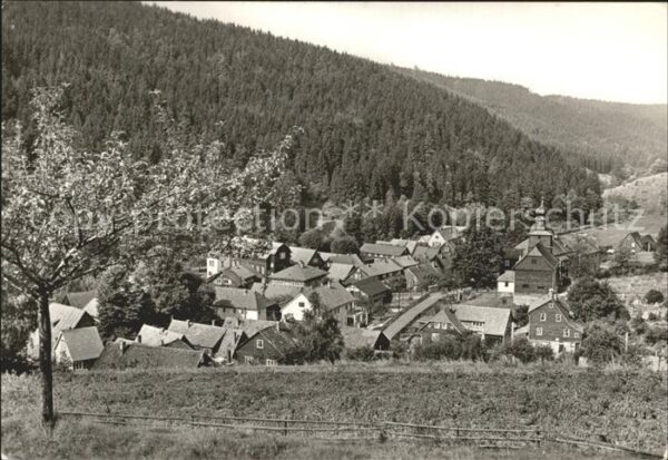 Biberau Ortsansicht mit Kirche Baumblüte