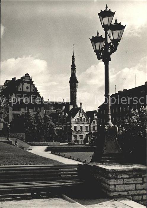 Tallinn Harju tänava haljasala
