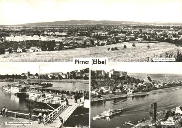 Pirna Panorama Blick vom Kohlberg Dampfschiff