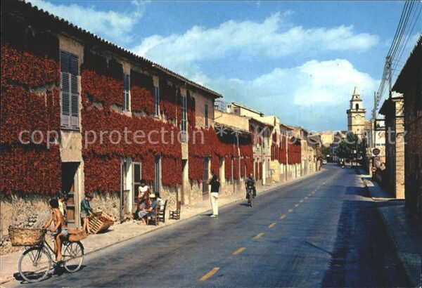 Mallorca Santa Maria Strassenpartie