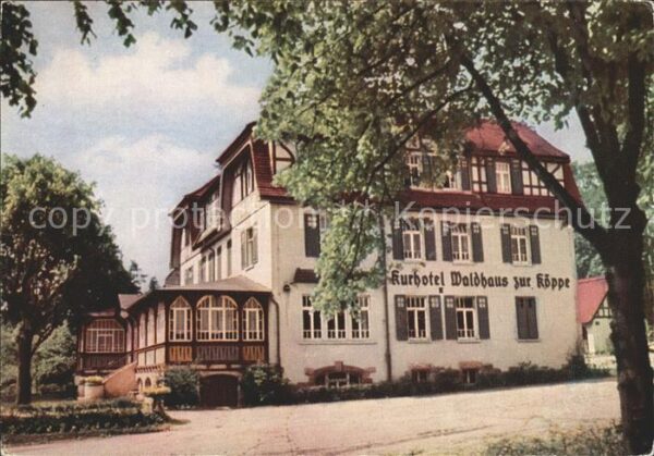 Bad Klosterlausnitz Kurhotel Waldhaus zur Köppe