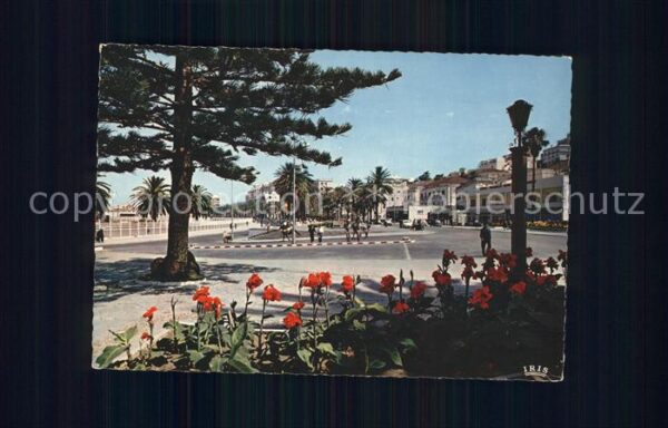 Tangiers Tanger Tangier Avenue d`Espagne