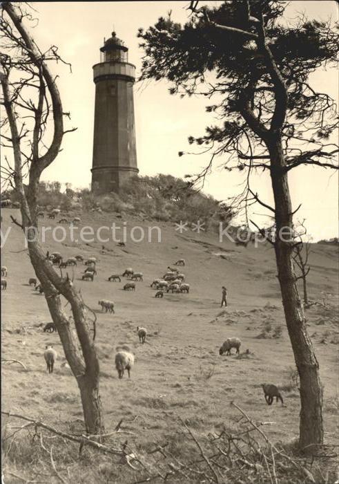 Insel Hiddensee Leuchtturm am Dornbusch