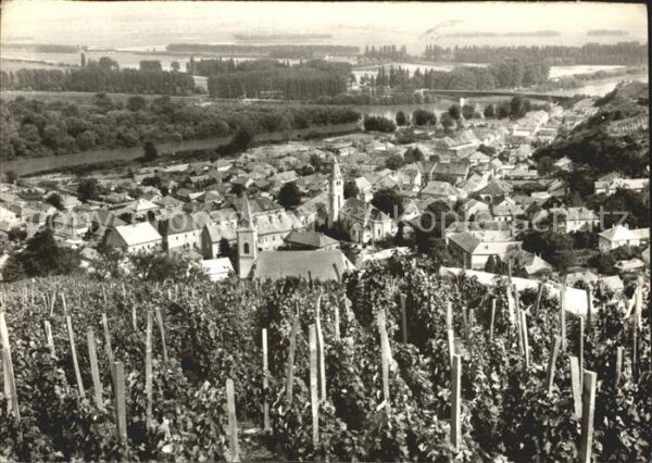 Tokaj Panorama