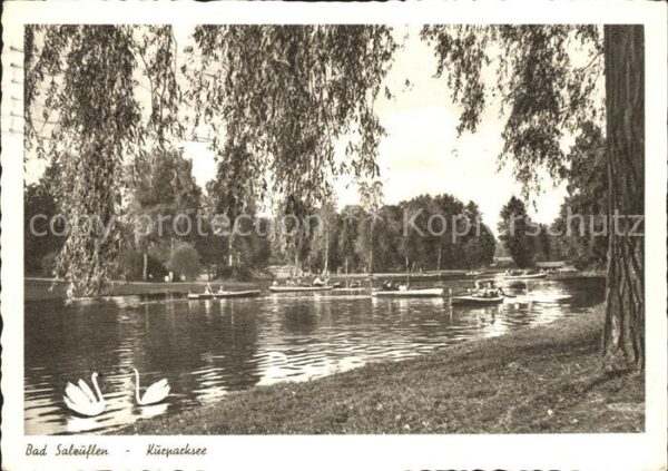 Bad Salzuflen Kurparksee Bootspartien Schwäne