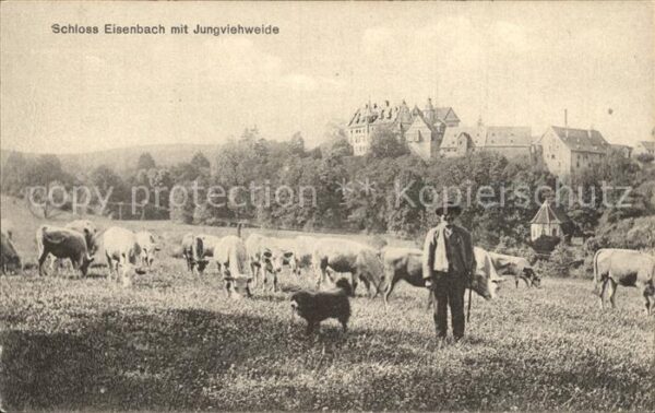 Lauterbach Hessen Schloss Eisenbach mit Jungvieweide