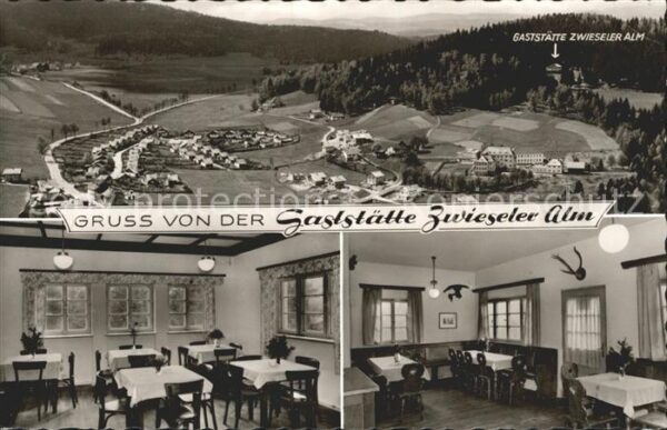 Zwiesel Niederbayern Berggaststätte Zwiesler Alm