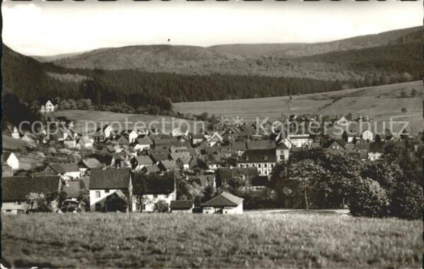 Wolfshagen Harz Stadtbild