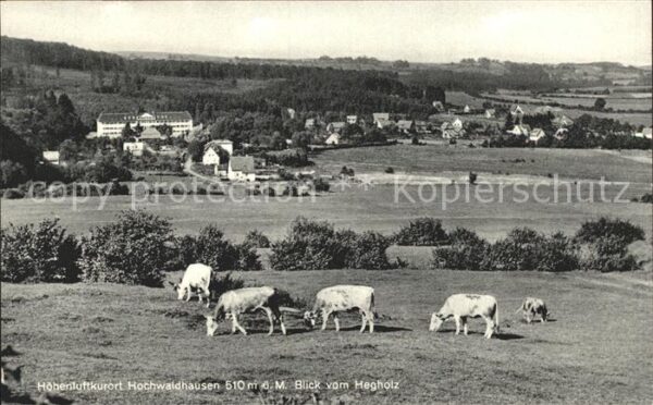 Hochwaldhausen Ilbeshausen Panorama Blick vom Hegholz Kühe Höhenlu