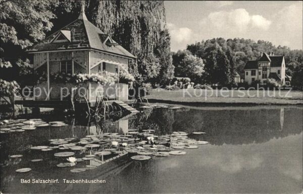 Bad Salzschlirf Teichrosen Taubenhäuschen