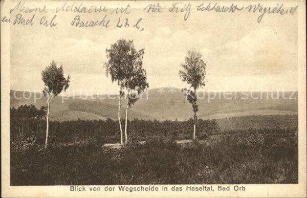 Bad Orb Blick von der Wegscheide ins Haseltal