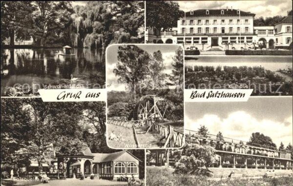 Bad Salzhausen Schwanenteich Kurhaus Salzquelle Wasser