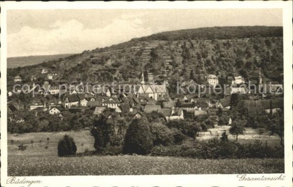 Buedingen Hessen Gesamtansicht