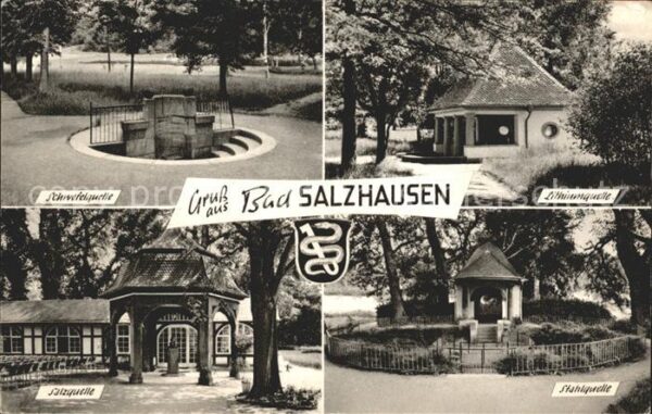 Bad Salzhausen Schwefelquelle Lithiumquelle Stahlquell