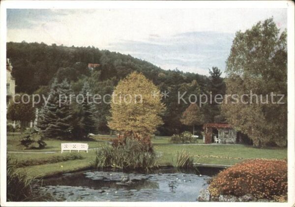 Bad Salzschlirf Goldfischteich im Kurpark Naturfarben K