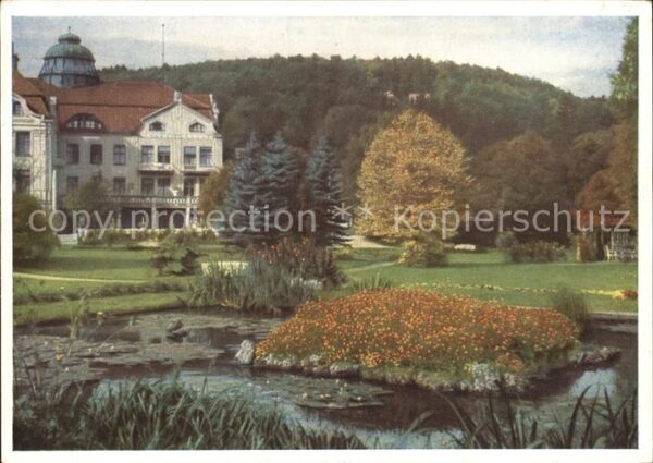 Bad Salzschlirf Badehof mit Goldfischteich Naturfarben