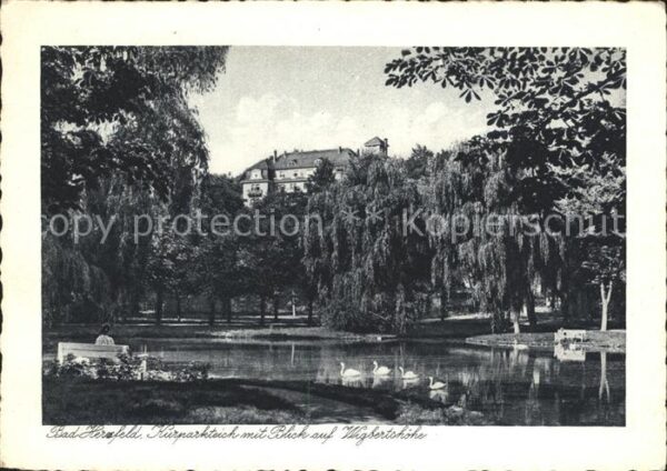 Bad Hersfeld Kurpark Teich Schwäne Wigbertshöhe