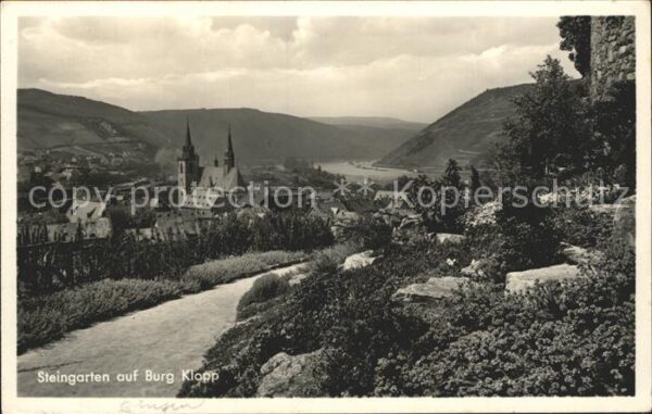 Bingen Rhein Steingarten auf Burg Klopp