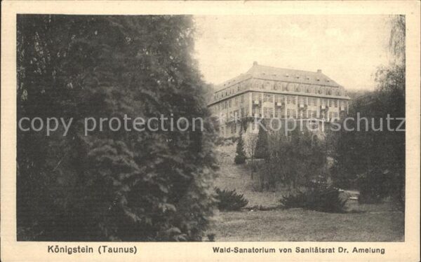 Koenigstein Taunus Wald Sanatorium von Sanitätsrat Dr Amel
