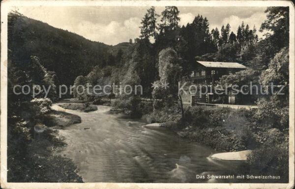 Schwarzburg Thueringer Wald Schweizerhaus im Schwarzatal