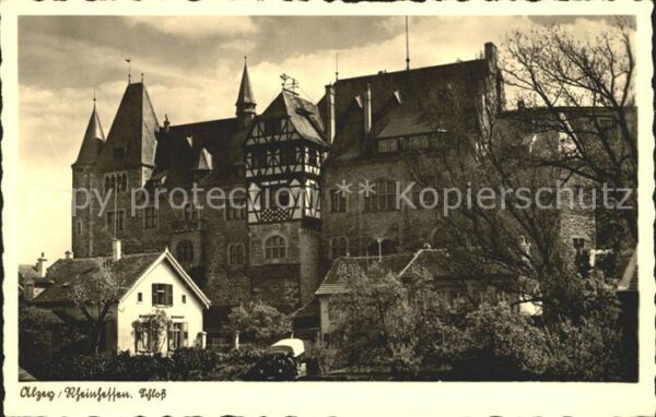 Alzey Schloss