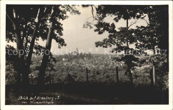 Kronberg Taunus Blick von Mammolshain