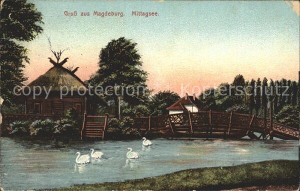 Magdeburg Mittagsee Schwäne Holzbrücke