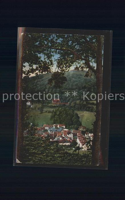 Ruhla Durchblick neben der Breitenberghütte H