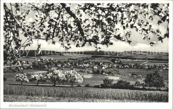 Waldernbach Panorama Westerwald