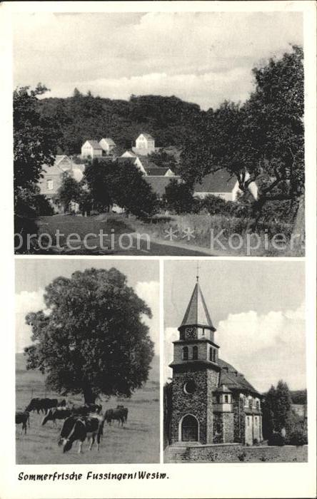 Fussingen Teilansicht Kirche Kühe Sommerfrische