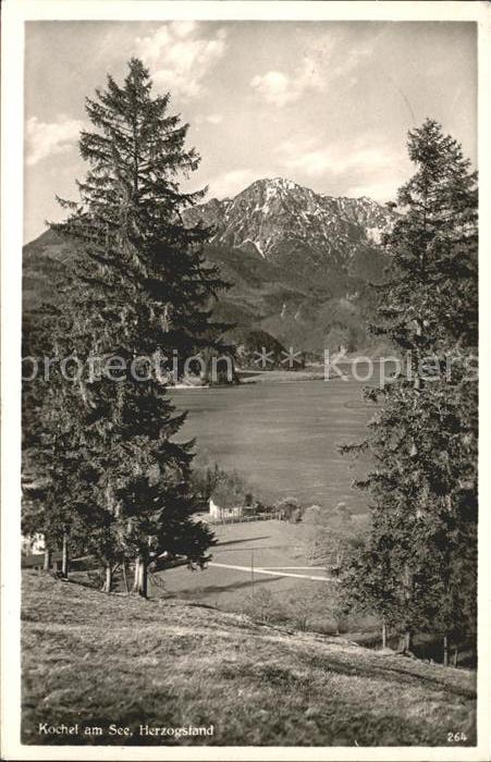 Kochel See Panorama mit Herzogstand Bayerische Vor