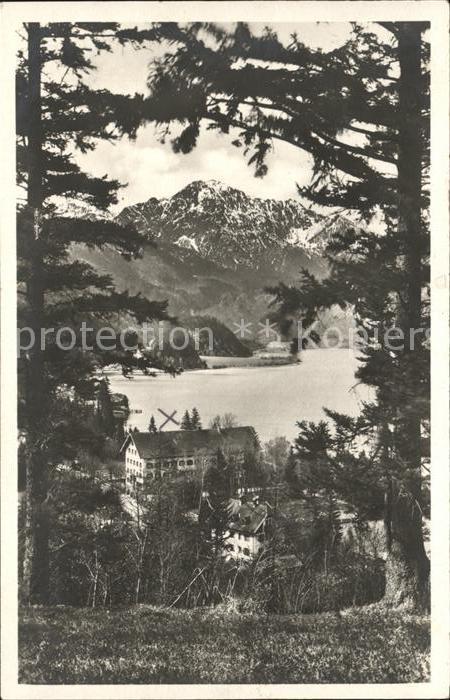 Kochel See Panorama mit Herzogstand Bayerische Vor