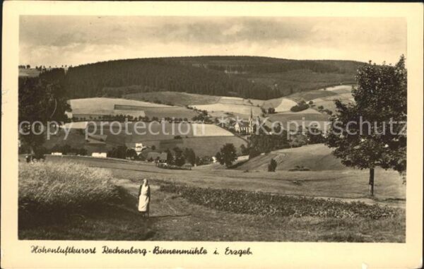 Rechenberg-Bienenmuehle Osterzgebirge Panorama Höhenluftkurort