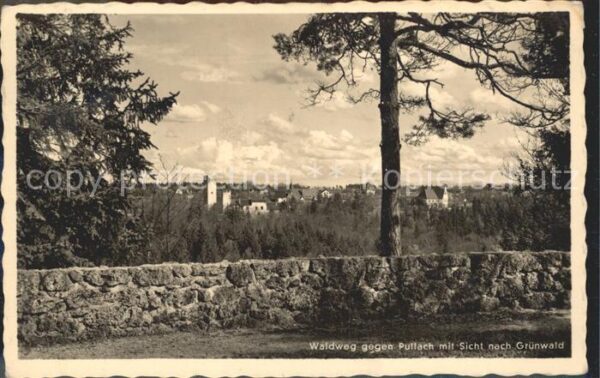 Gruenwald Muenchen Waldweg gegen Pullach mit Blick auf Grü