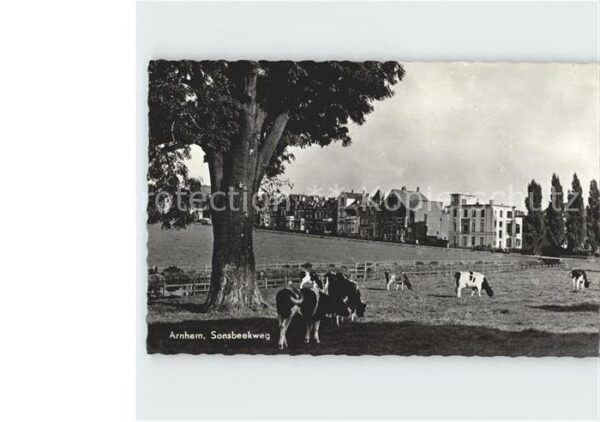 Arnhem Sonsbeekweg