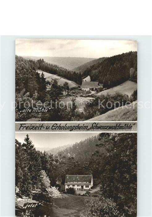 Besenfeld Schwarzwaldmühle alt und jetzt