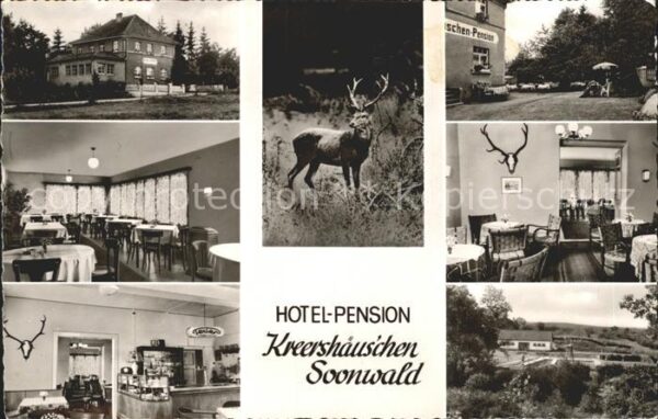 Winterbach Bad Kreuznach Hotel Pension Kreershäuschen Soonwald G