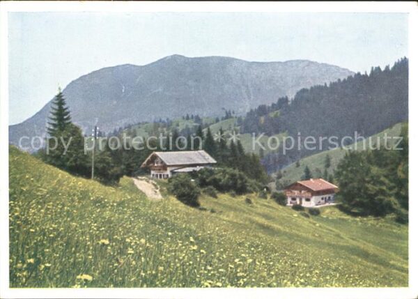 Partnachalm mit Wank Alpenwiese