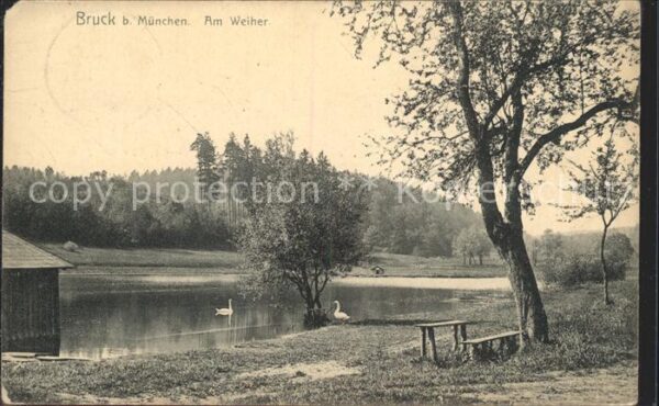 Bruck Oberbayern Partie am Weiher Schwäne