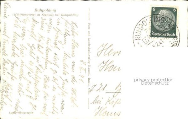 Ruhpolding Wildfütterung in Seehaus – Bild 2