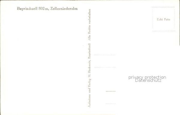 Bayrischzell Zellerniederalm Kühe – Bild 2